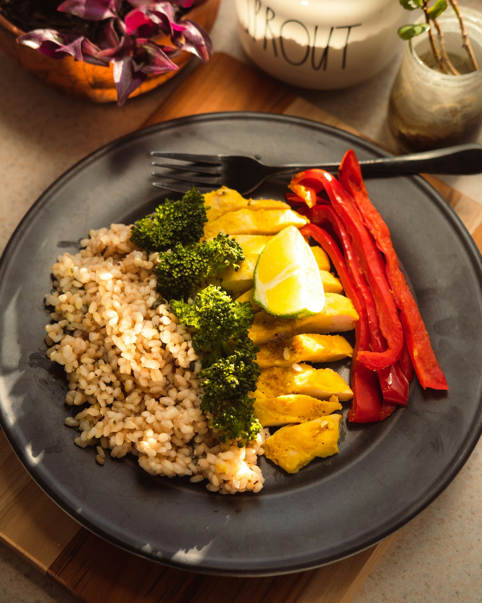 4 quick dinners under 500 kcal — exact grams and macros